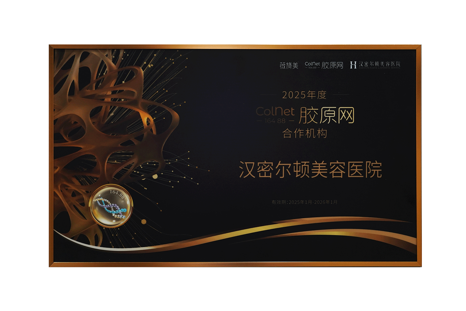 ColNet胶原网合作机构